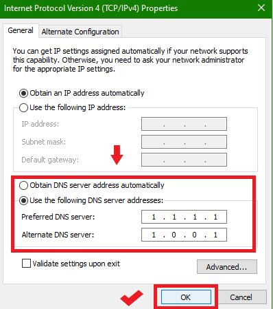 Check the Use the following DNS server address Option and Hit OK