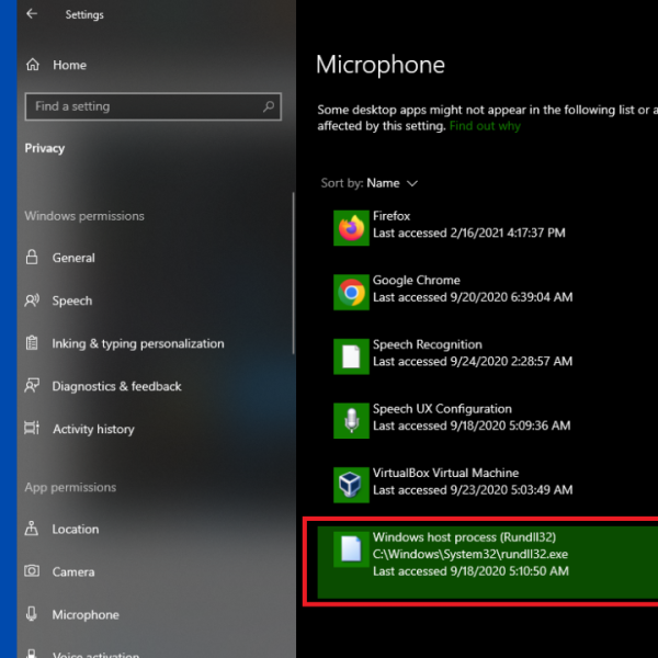 Disable the Host Process For Windows Services Using Microphone